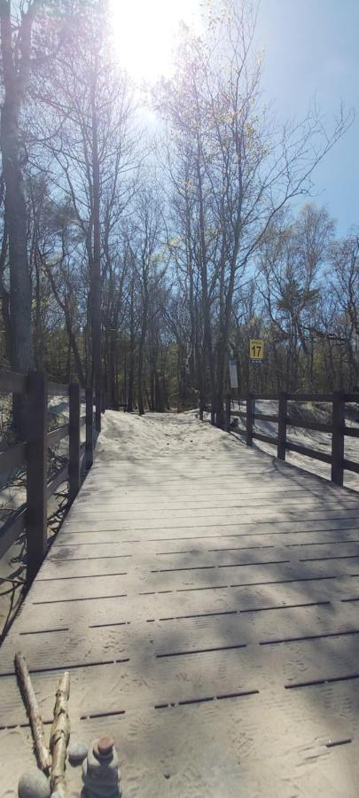 אוסטרוני מורסקי Willa Wieniotowo Apartamenty Przy Lesie I Plazy Ap Am Wald Und Strand מראה חיצוני תמונה